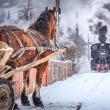 Imagini de poveste din Bucovina, realizate de Cătălin Urdoi, folosite de Ministerul Turismului pentru promovarea României