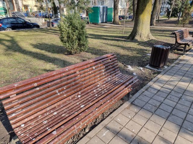 Băncile din parcuri, acoperite de găinaț, după ce un stol imens de ciori a poposit prin Suceava