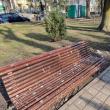 Băncile din parcuri, acoperite de găinaț, după ce un stol imens de ciori a poposit prin Suceava