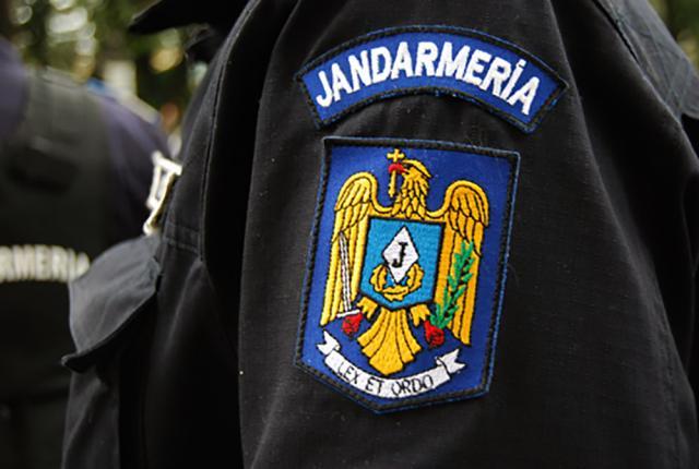 Jandarmii au confiscat peste 10 mc lemn din două mașini oprite în trafic