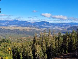 Ocolul Silvic Dorna Candrenilor