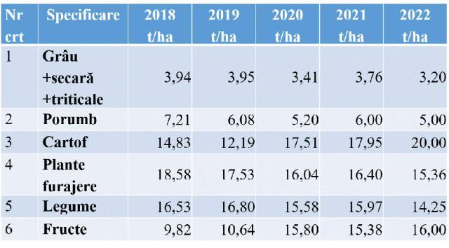 Cele mai slabe producții la culturile de porumb și grâu din ultimii 5 ani. Excepția este cartoful