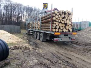 Autotrenul cu lemne plecat de la Mălini, oprit la Piatra Neamț și readus în județul nostru pentru inventariere