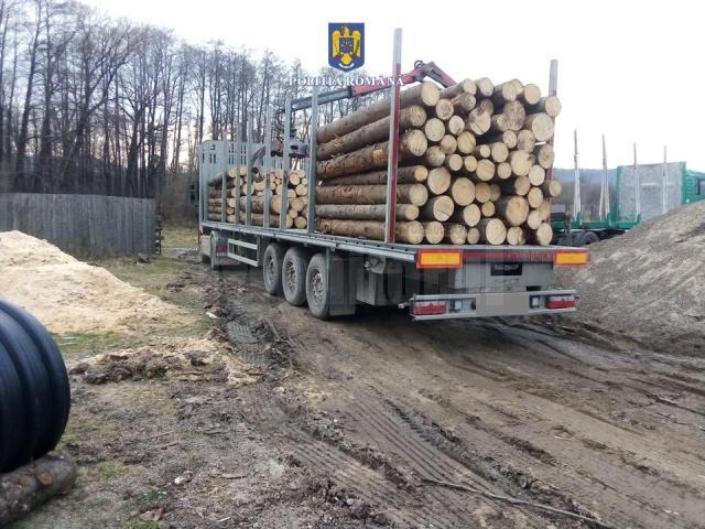 Autotrenul cu lemne plecat de la Mălini, oprit la Piatra Neamț și readus în județul nostru pentru inventariere