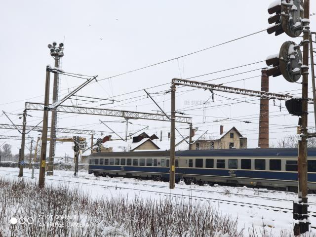 Trenuri blocate sau anulate din cauza căderilor de arbori pe calea ferată