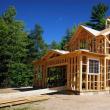 casa-structura-lemn