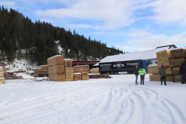 Descindere în afaceri ilegale cu mult lemn. Au fost confiscate un autotren și peste 200 mc material lemnos