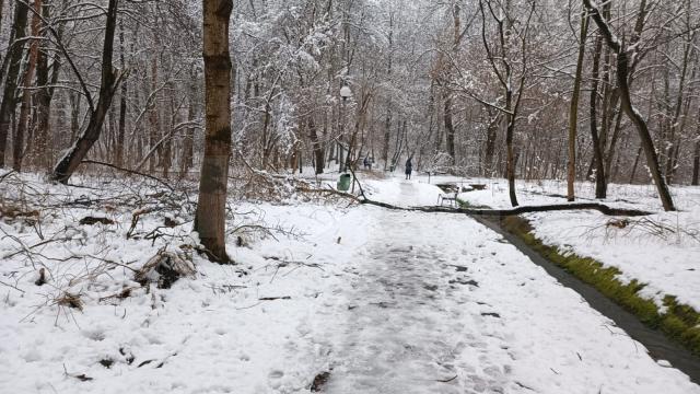 Parcul Șipote