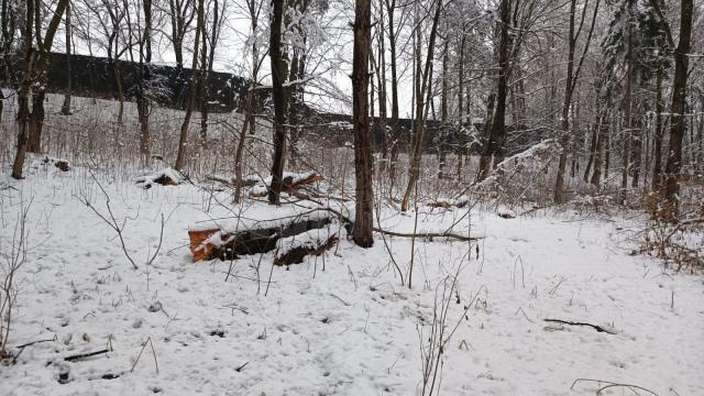 Parcul Șipote