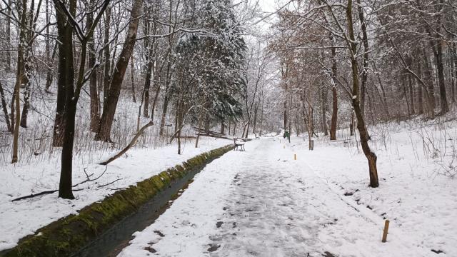 Parcul Șipote