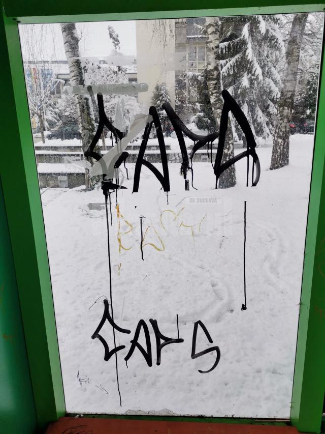 Doi puștani care vandalizează zilnic stațiile și automatele TPL Suceava, reclamați la Poliție, cu zeci de înregistrări video ca dovadă