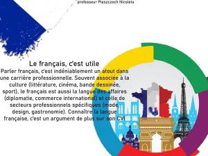 Alianța Franceză din Suceava și elevii Colegiului Tehnic „Laţcu Vodă” Siret organizează miercuri activități în limba franceză