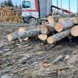 Autoutilitară de 30.000 de euro confiscată după interceptarea unui transport ilegal de materiale lemnoase de Garda Forestieră și Jandarmerie 1