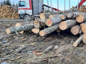 Autoutilitară de 30.000 de euro confiscată după interceptarea unui transport ilegal de materiale lemnoase de Garda Forestieră și Jandarmerie 1