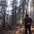 Un dosar în care au fost trimişi în judecată un şef de ocol şi alţi silvicultori, clasat ...