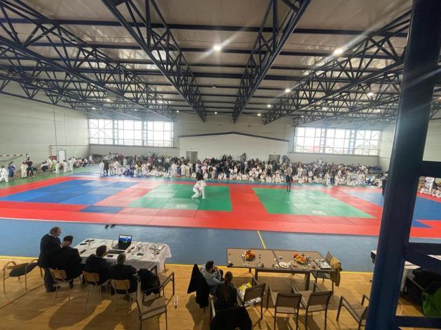 Pionierii judoului sucevean au fost onorați cu prilejul Memorialului „Mihai Alexandroae”