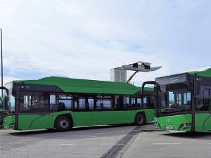Parcul auto electric al TPL Suceava este de 62 autobuze electrice din care 40 de capacitate mare și 22 de capacitate mică – microbuze