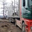 mijlocul de transport folosit la transportul materialelor lemnoase fără proveniență legală, în valoare de 40.000 de euro