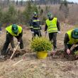 Campania de împăduriri de primăvară, cea mai importantă activitate de regenerare a pădurilor, a demarat la Suceava chiar de Ziua Internaţională a Pădurilor