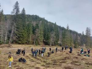 Campania de împăduriri de primăvară, cea mai importantă activitate de regenerare a pădurilor, a demarat la Suceava chiar de Ziua Internaţională a Pădurilor 4