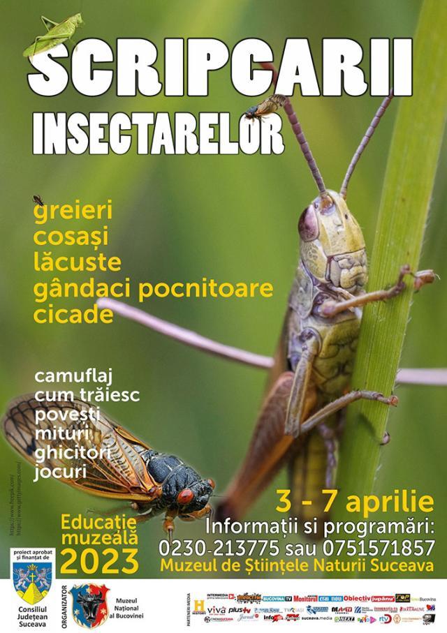 „Scripcarii insectarelor”, lecție de muzeu pentru preșcolari și școlari