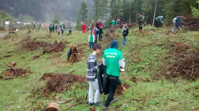 Campania de împăduriri de primăvară, cea mai importantă activitate de regenerare a pădurilor, a demarat la Suceava chiar de Ziua Internațională a Pădurilor