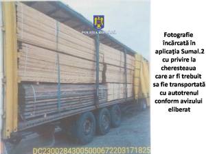 Cum apărea autotrenul in aplicația informatică