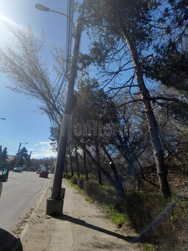 Intervenție de îndepărtare a pericolului de prăbușire, din cauza vântului puternic, a doi arbori, pe Calea Unirii