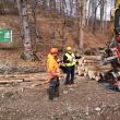 Conferință în pădure, cu parcurgerea traseului lemnului, de la exploatare la biomasă, cu demonstrații practice, organizată de Asociația Forestierilor din România