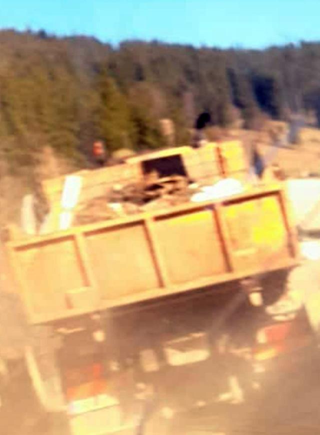 Mașină a Primăriei Broșteni, surprinsă când arunca gunoi în albia unui pârâu