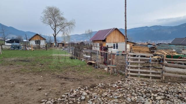 Polițiștii au descins în zona rău famată Bodea din Câmpulung Moldovenesc