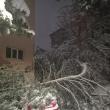 Copac încărcat cu zăpadă, căzut peste o mașină, pe strada Bujorilor din municipiul Suceava