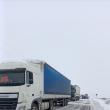 Coloane de mașini și autocamioane pe drumurile închise din județul Suceava