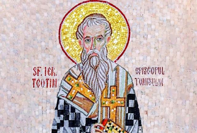 Sfântul Ierarh Teotim, Episcopul Tomisului