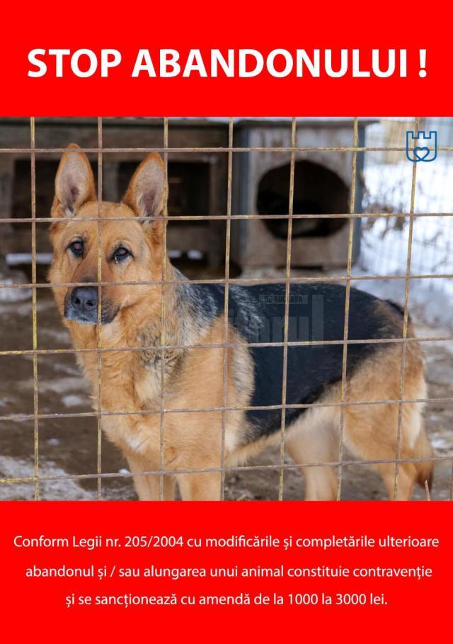 Târg de adopții pentru câinii fără stăpân, sâmbătă, în centrul municipiului Suceava