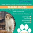 Târg de adopții pentru câinii fără stăpân, sâmbătă, în centrul municipiului Suceava