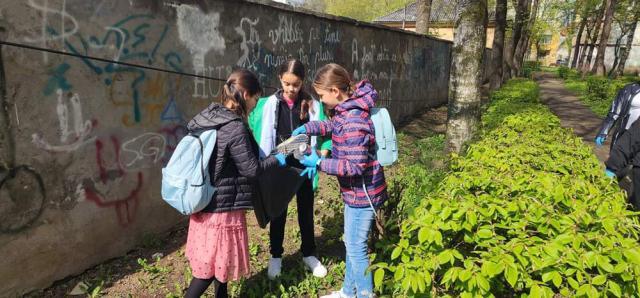 Aproape 1.000 de elevi și profesori au participat la o acțiune de ecologizare, la Rădăuți