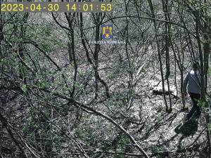 Braconaj în pădure