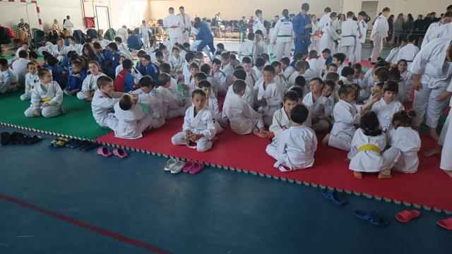 Cupa Bucovina la judo