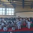 Cupa Bucovina la judo