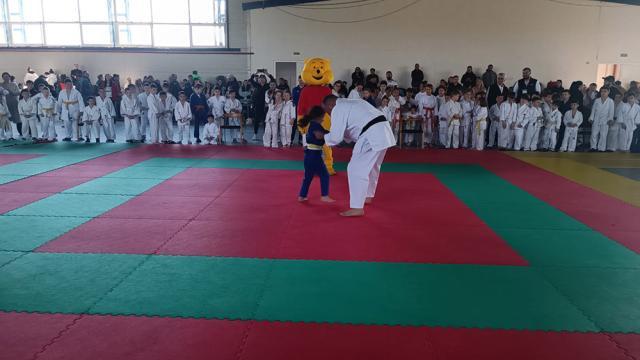 Cupa Bucovina la judo