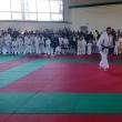 Cupa Bucovina la judo