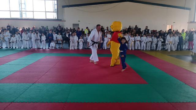 Cupa Bucovina la judo