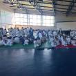 Cupa Bucovina la judo