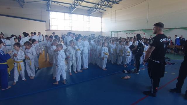 Cupa Bucovina la judo