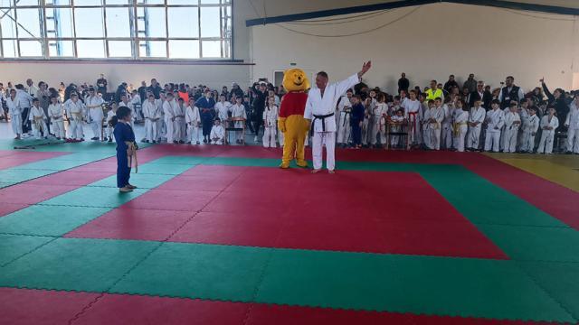 Cupa Bucovina la judo