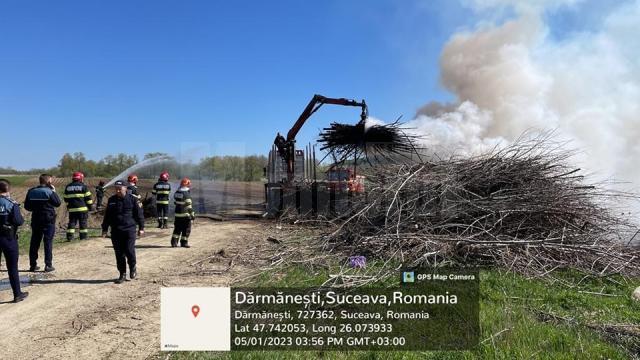 Firmă amendată cu 30.000 de lei pentru un incendiu în care au ars zeci de metri cubi de plop energetic