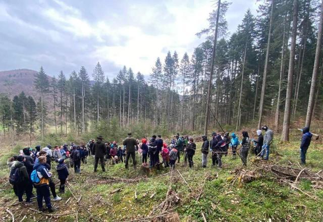 Săptămâna verde…