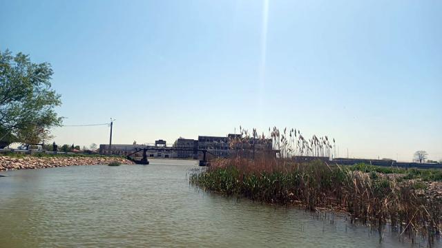 Fabrica de conserve de la Sulina, o ruină