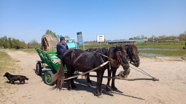 Mijloc de transport pe grindul Letea